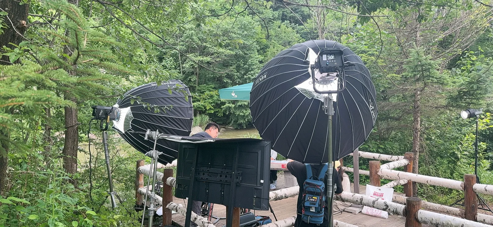 Authorised field record image 1 for 长白山伊利奶粉直播