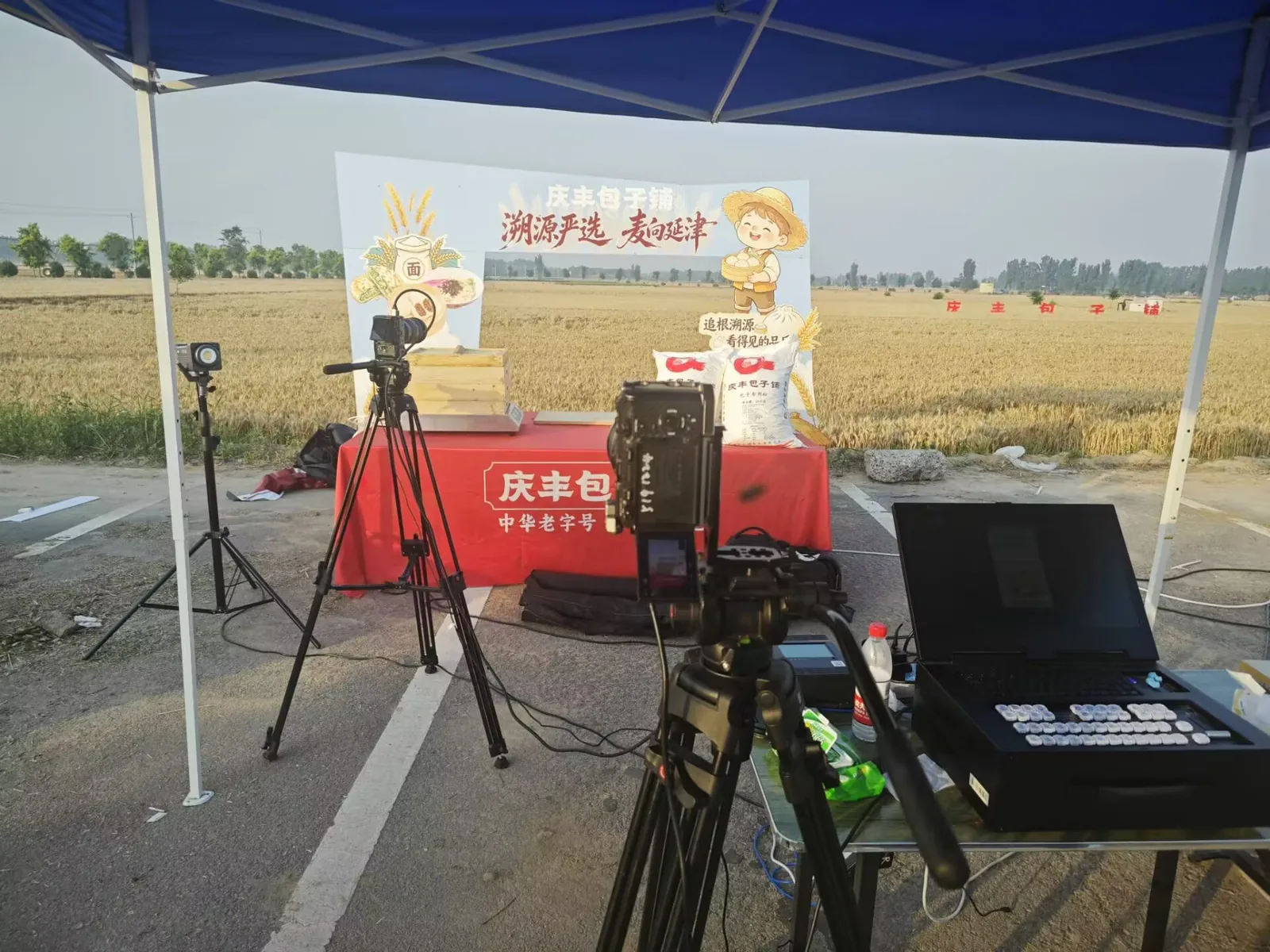 Authorised field record image 1 for 庆丰包子铺小麦产地直播