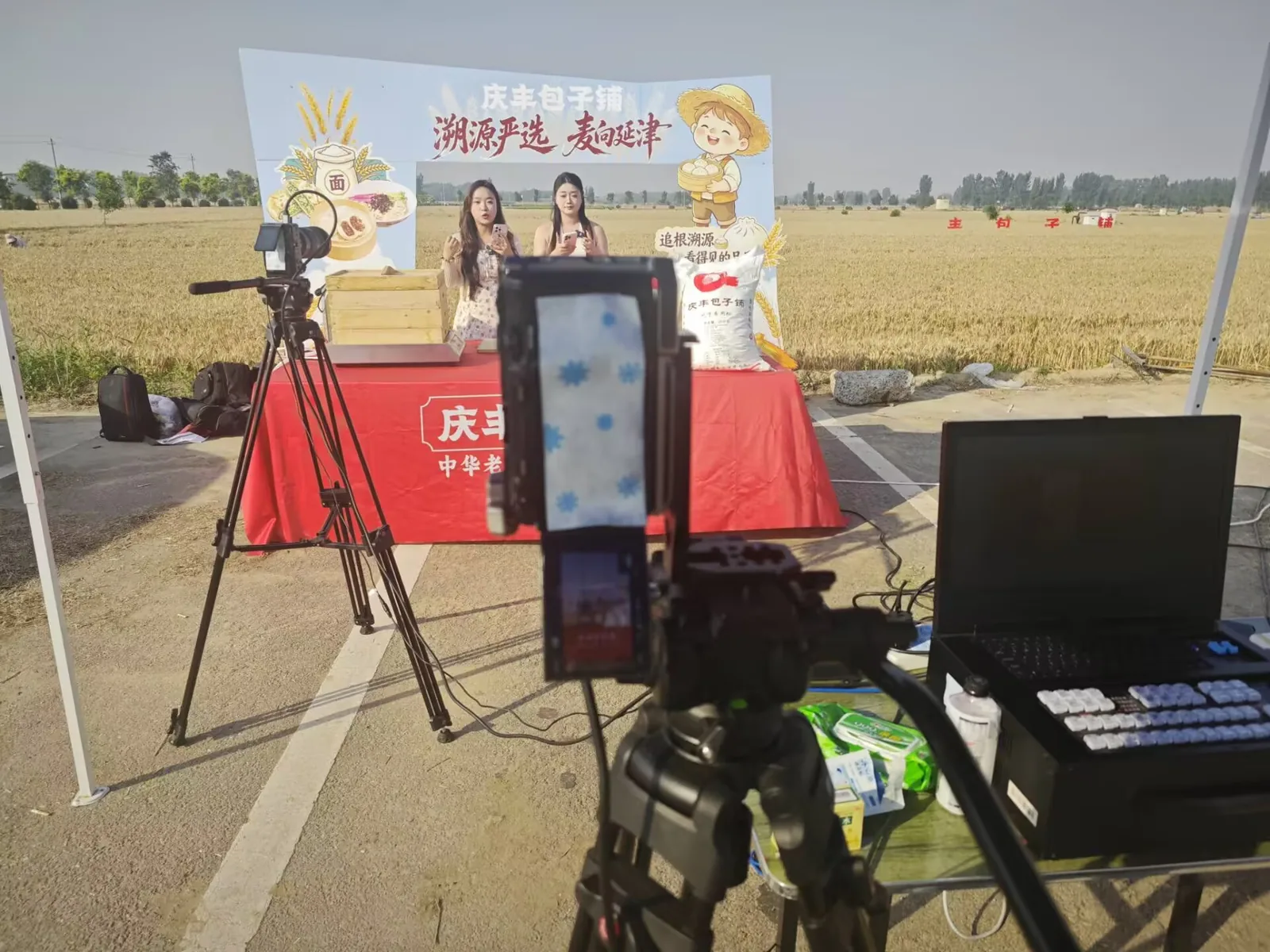 Authorised field record image 2 for 庆丰包子铺小麦产地直播