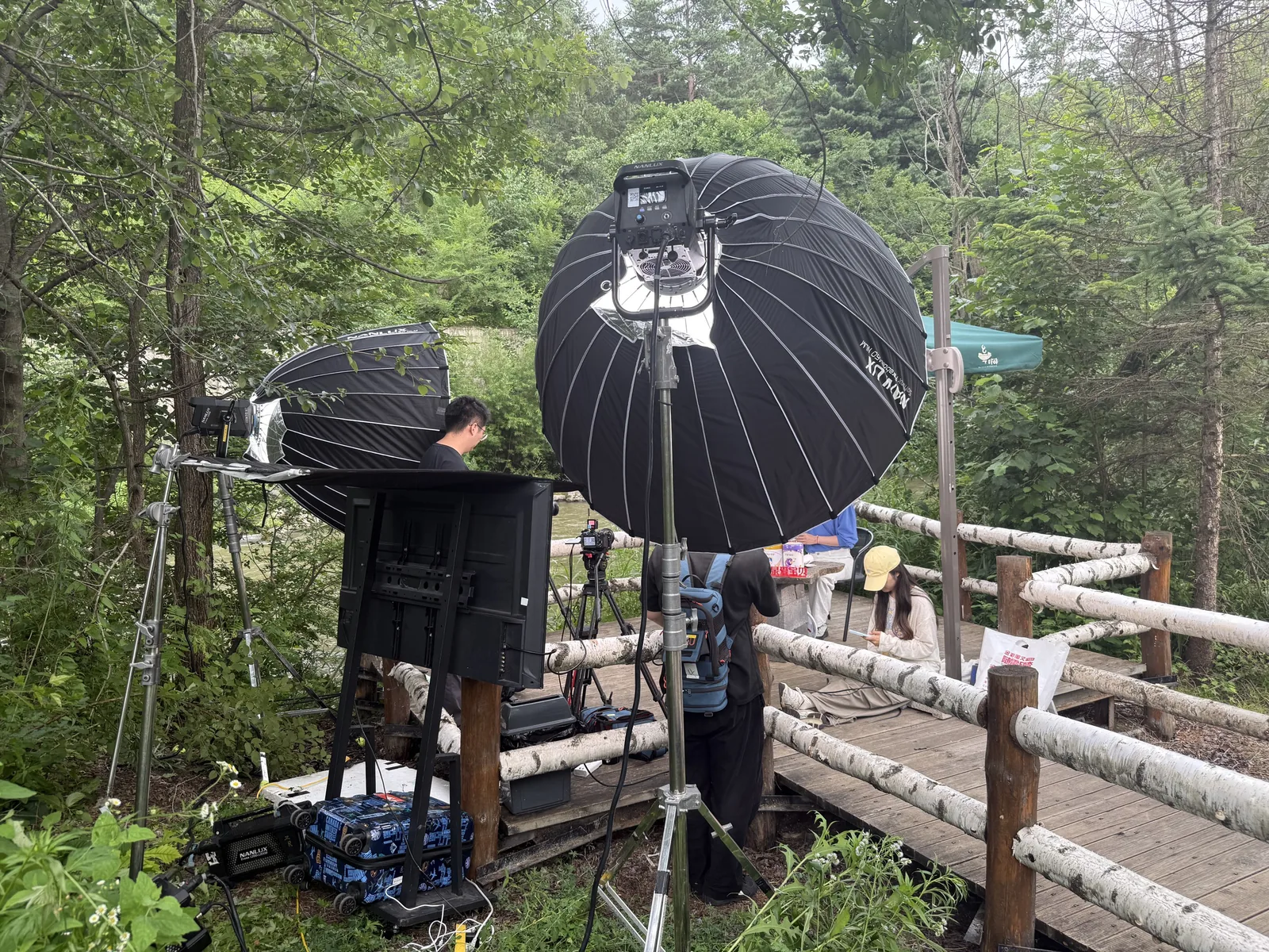 Authorised field record image 3 for 长白山伊利奶粉直播